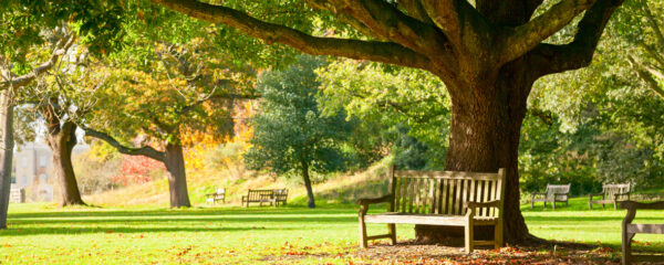 parc des Aubiers