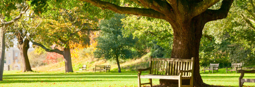 parc des Aubiers